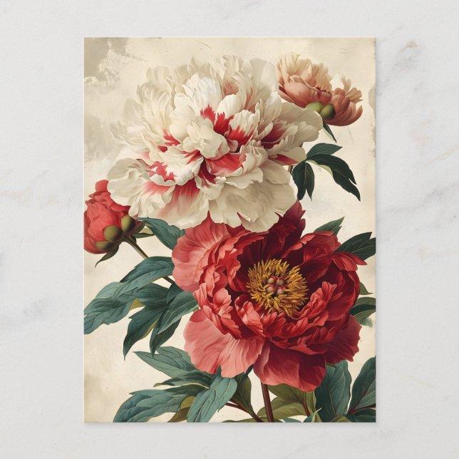 Vintage Peonies Vykort (Framsida)