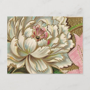 Vintage Peony Flower Vykort