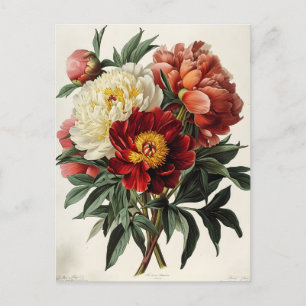 Vintage Peony: Timless Blommigt Elegance Vykort