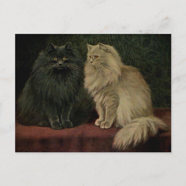 Vintage Persian Cat Vykort (Framsida)
