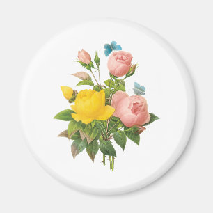 Vintage Persian Yellow Rose Tea Roses av Redoute Magnet