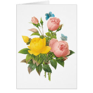 Vintage Persian Yellow Rose Tea Roses av Redoute OBS Kort