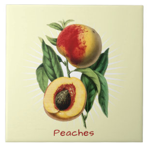 Vintage Persikor Fruit Botanical Art Ceramic Tile Kakelplatta