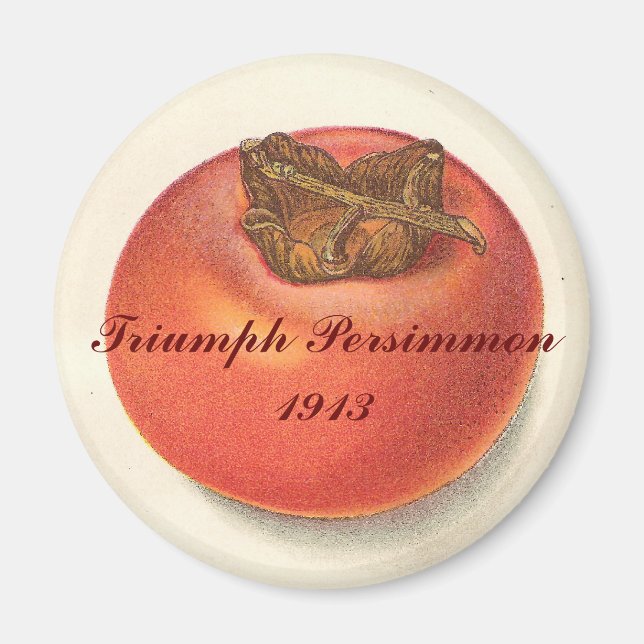 Vintage Persimmon Magnet (Framsidan)