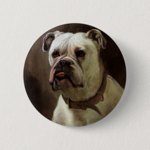 Vintage Pet Animals, Boxer Puppy Hund Porträtt Knapp