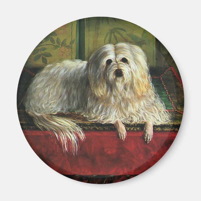 Vintage Pet Animals, Shaggy Sheepdog Hund Magnet (Framsidan)