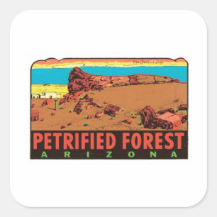 Vintage Petrified Forest Arizona AZ State Label Fyrkantigt Klistermärke