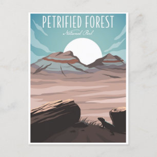 Vintage Petrified Forest National Park Arizona Vykort