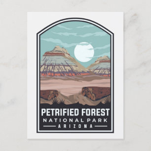 Vintage Petrified Forest National Park Arizona Vykort