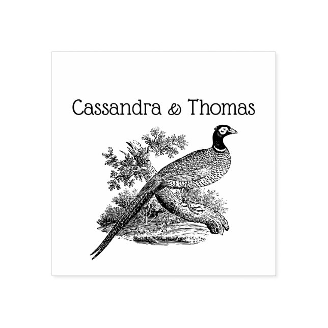 Vintage Pheasant Game Bird Teckning par Namn Stämpel (Tryck)