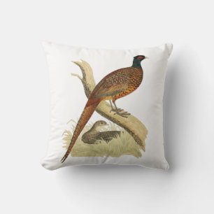 Vintage Pheasant på Gren Game Bird Teckning Färg Kudde