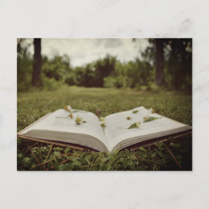 Vintage Photo Bok och Wildblommor Nature Scene Vykort