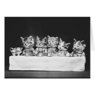 Vintage Photo - Kittens har tea, Hälsningskort