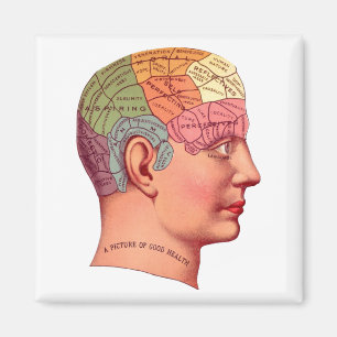 Vintage Phrenology Head Mind Brain Karta Magnet