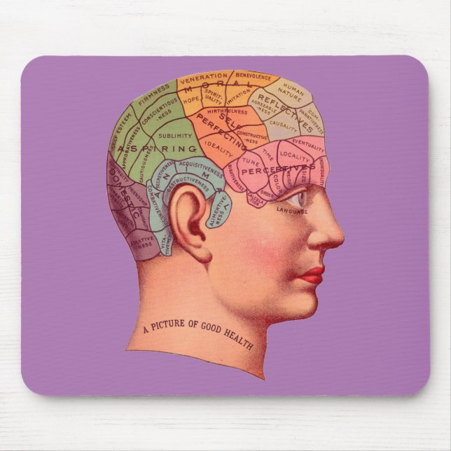 Vintage Phrenology Head Mind Brain Karta Musmatta (Framsidan)