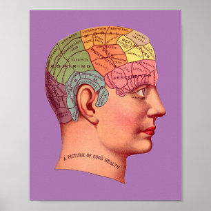 Vintage Phrenology Head Mind Brain Karta Poster