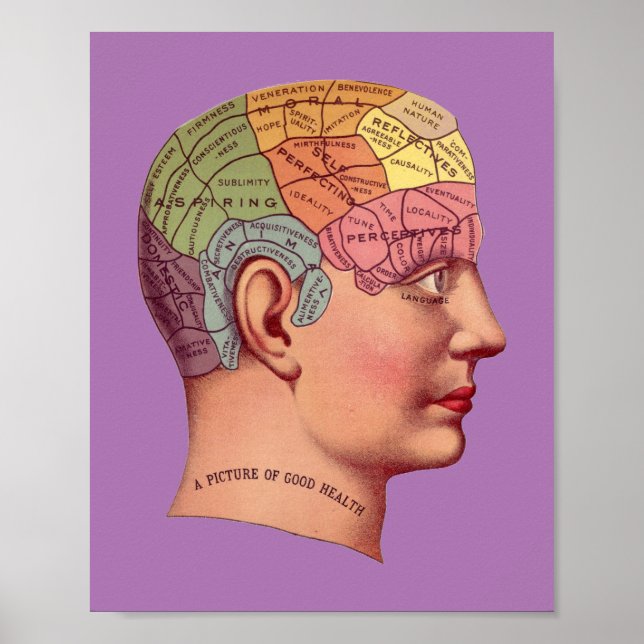 Vintage Phrenology Head Mind Brain Karta Poster (Framsidan)