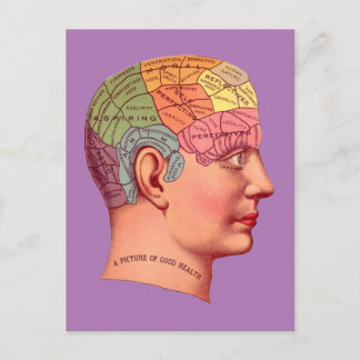 Vintage Phrenology Head Mind Brain Karta Vykort