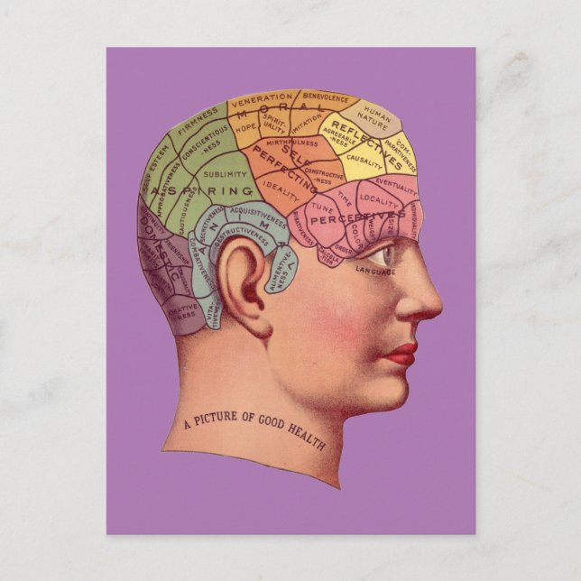 Vintage Phrenology Head Mind Brain Karta Vykort (Framsida)