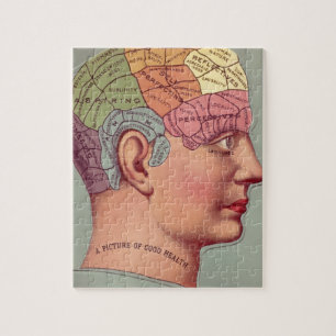 Vintage Phrenology Head Pussel