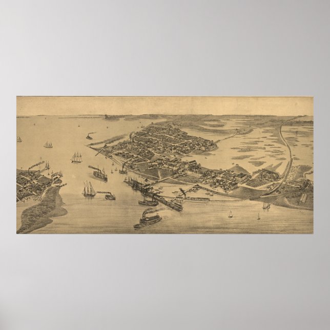 Vintage Pictorial Karta i Cedar Nyckel FL (1884) Poster (Framsidan)