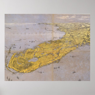 Vintage Pictorial Karta i Florida (1861) Poster