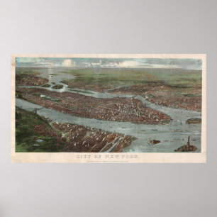 Vintage Pictorial Karta i New York City (1879) 3 Poster