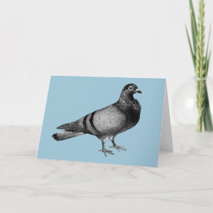 Vintage Pigeon-gåvor Helgkort