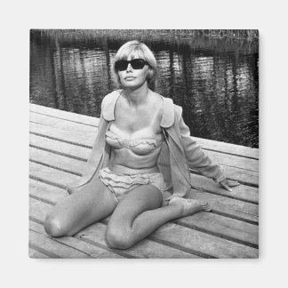 Vintage Pin Up Bikini Girl * Photo Magnet *