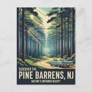 Vintage Pine Barrens New Jersey Resa Vykort