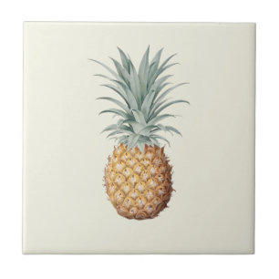 Vintage Pineapple Cream Kakelplatta