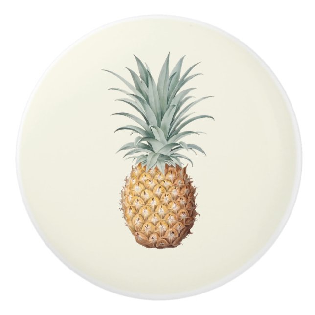 Vintage Pineapple Cream Knopp (Framsidan)