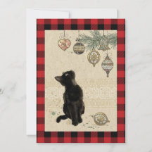 Vintage Plaid Svart Katt Som Tittar På Prydnader