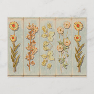 Vintage Plant Illustrations Vykort
