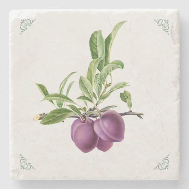 Vintage Plommon Frukt Illustration Stenunderlägg (Framsidan)