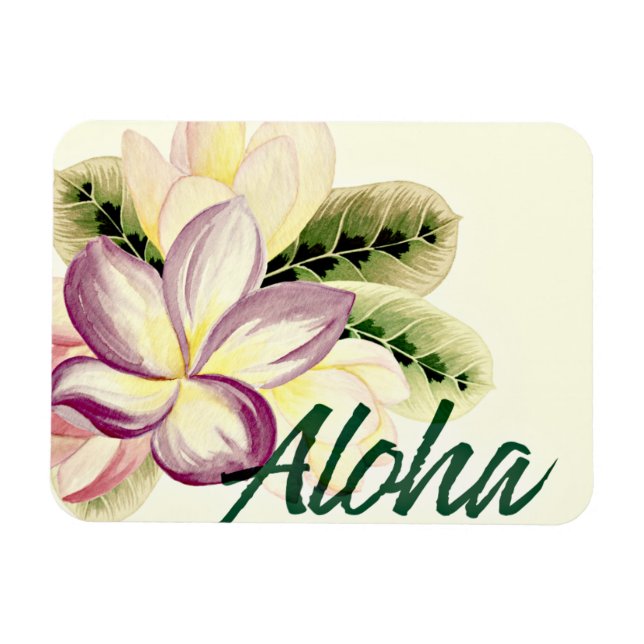 Vintage Plumeria Aloha Magnet (Horisontell)