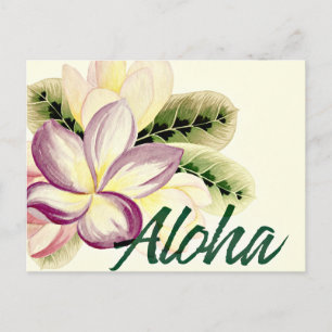 Vintage Plumeria Aloha Vykort
