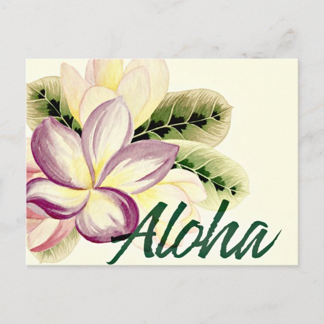 Vintage Plumeria Aloha Vykort (Framsida)