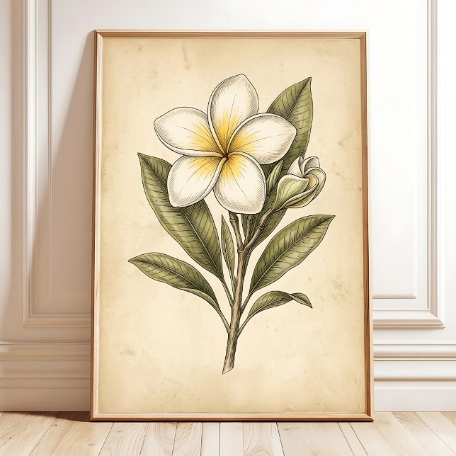Vintage Plumeria Blommig Väggkonst (Skapare uppladdad)