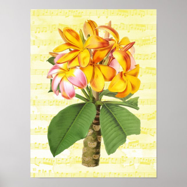 Vintage Plumeria on Music Poster (Framsidan)