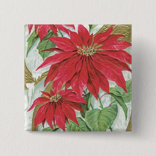 Vintage Poinsettia illustration. Knapp (Framsida)