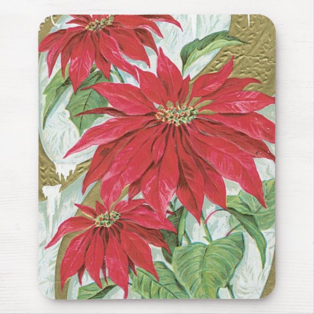 Vintage Poinsettia illustration. Musmatta (Framsidan)