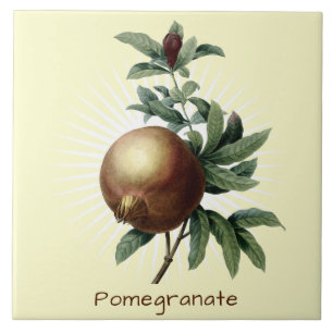 Vintage Pomegranat Fruit Botanical Art Kakelplatta