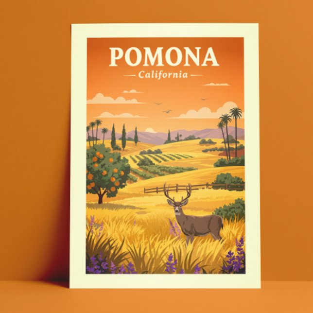 Vintage Pomona California Vykort (Skapare uppladdad)