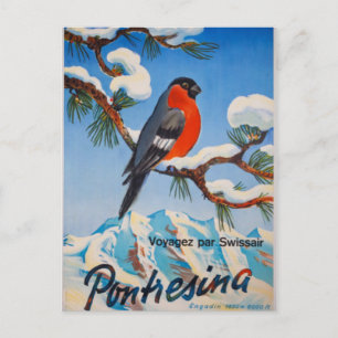 Vintage Pontresina Vacation Swiss Luft Schweiz Vykort