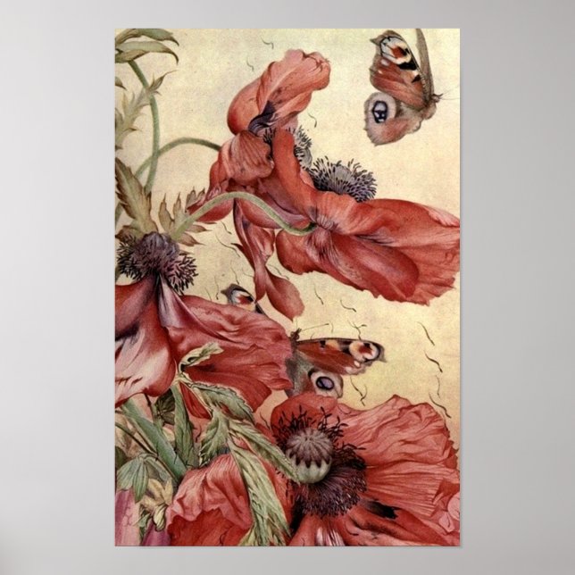 Vintage Poppies och Butterflies Poster (Framsidan)