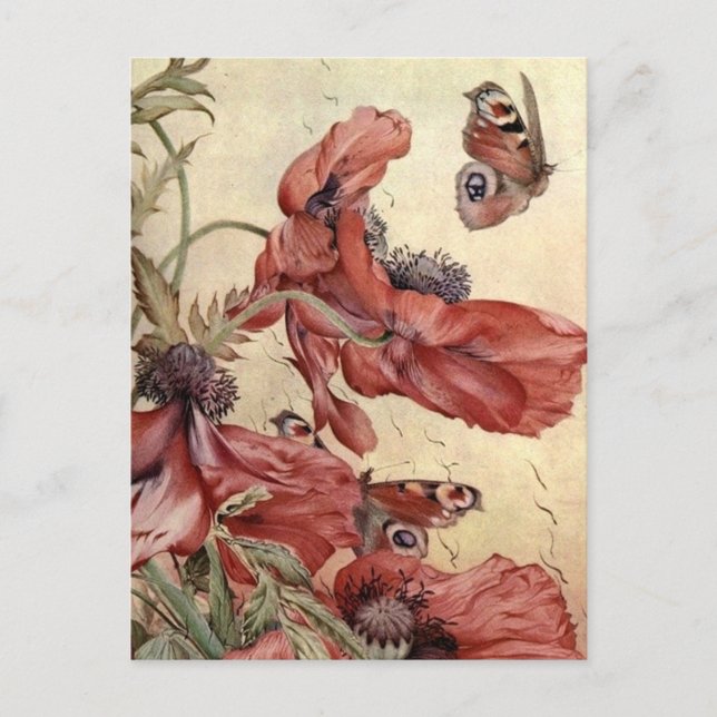 Vintage Poppies och Butterflies Vykort (Framsida)