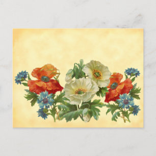 Vintage Poppies och Cornblommor Recipe-kort Vykort