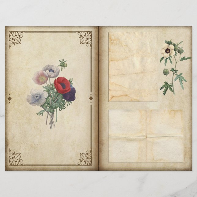 Vintage Poppies Victorian Botanical Journal Page (Framsida)