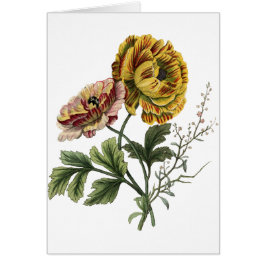 Vintage Poppy Flowers Hälsningskort